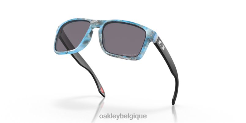 être Oakley lunettes collection du sanctuaire de Holbrook verres polarisés gris Prizm, monture tourbillon sanctuaire LFB04650