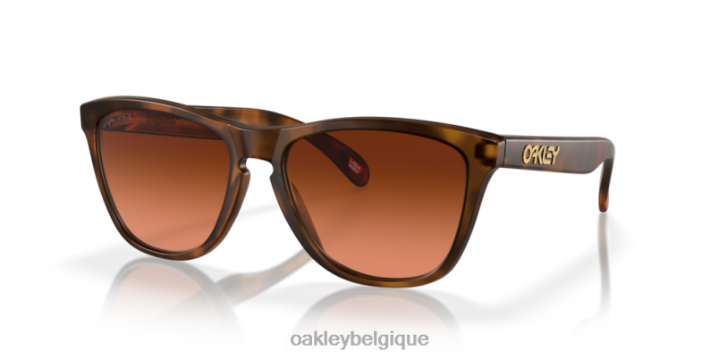 être Oakley lunettes peaux de grenouille (ajustement à pont bas) verres Prizm dégradés marron, monture écaille marron mat LFB04820
